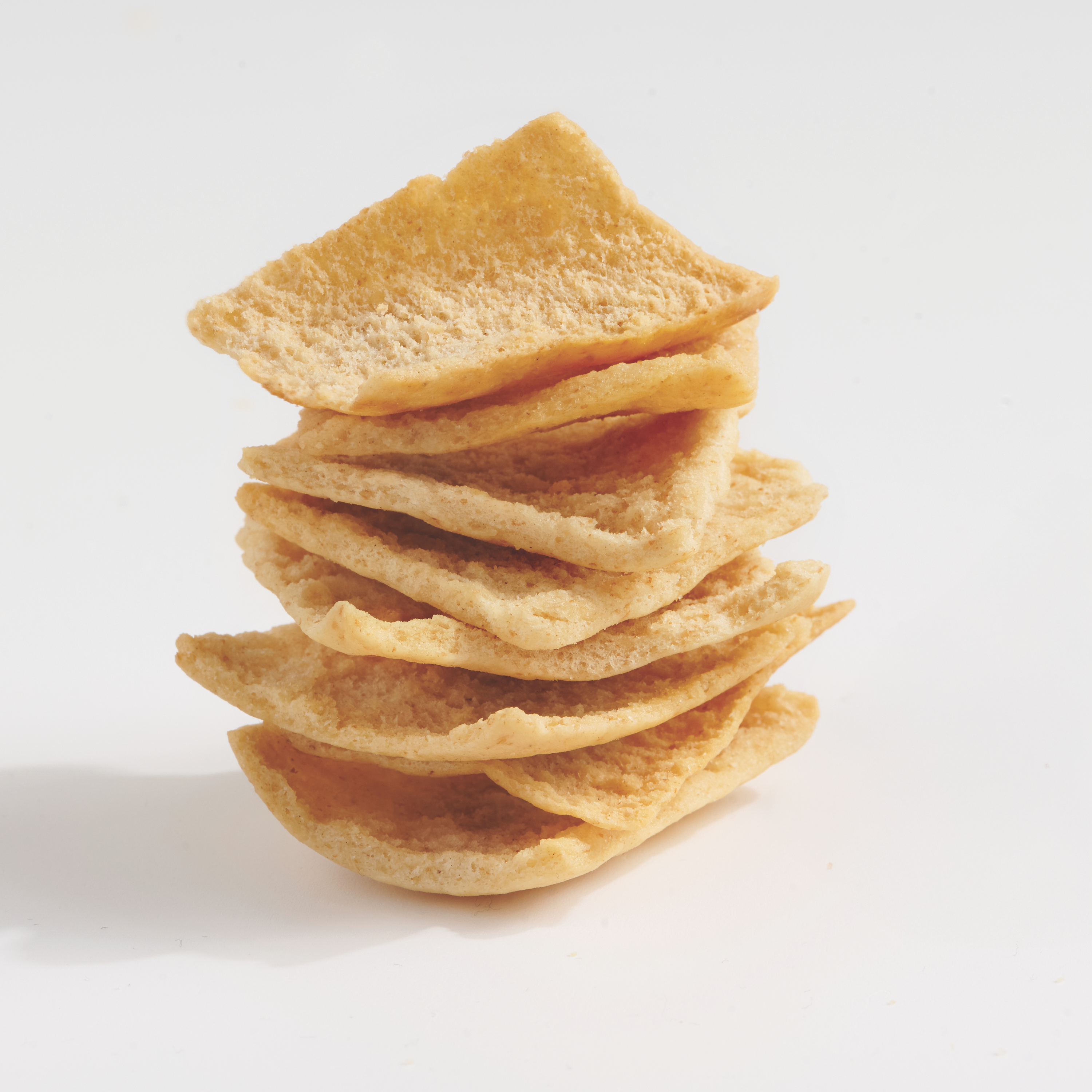 Wild Lotus Sea Salt Pita Chips